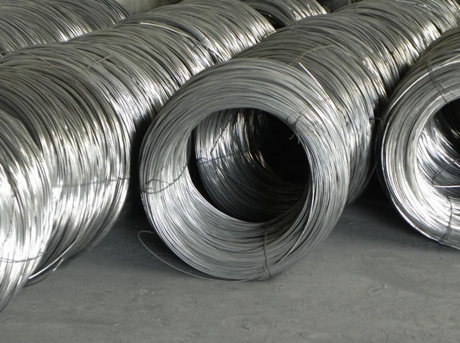 Electro Galvanised Mild Steel Coils